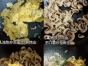 老公带朋友来家里，一定要做这7道菜，不仅好吃还好看做...
