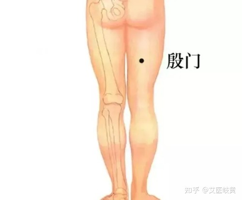 1679361996903.jpeg