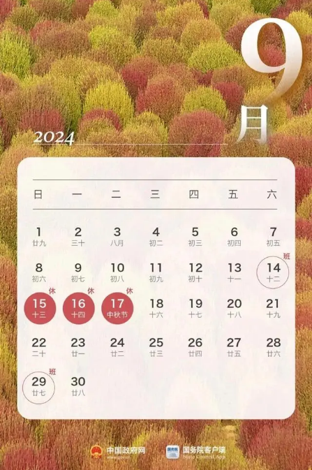 QQ截图20240815084323.png