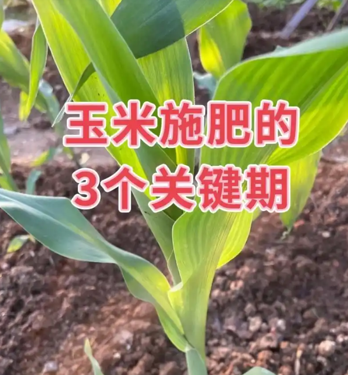 QQ截图20250620230957.png